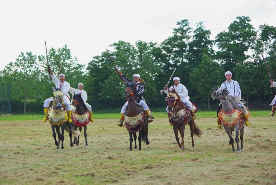 Le Moussem des Cultures 2008 226.jpg
